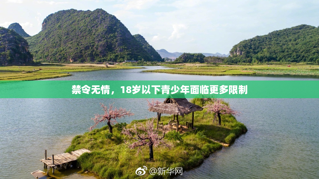 禁令无情，18岁以下青少年面临更多限制