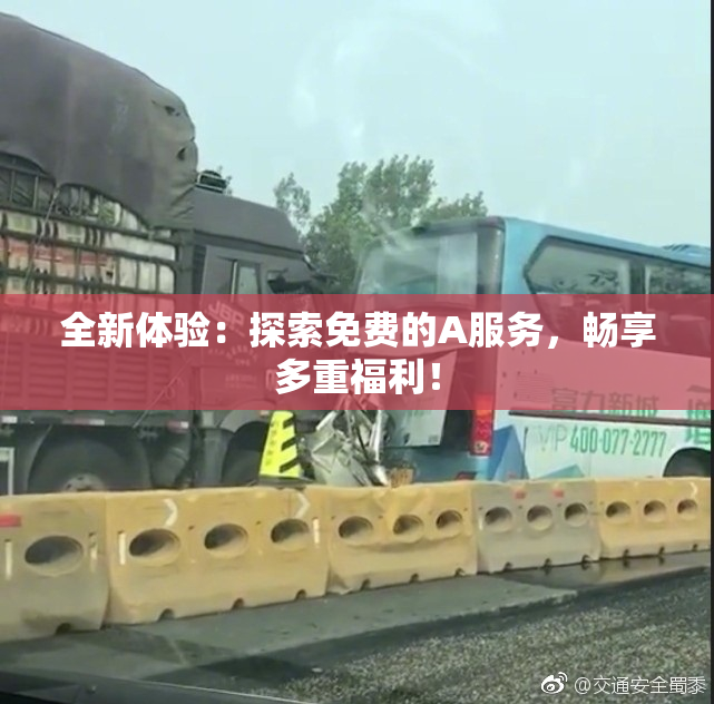 全新体验：探索免费的A服务，畅享多重福利！