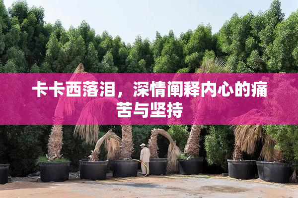 卡卡西落泪，深情阐释内心的痛苦与坚持
