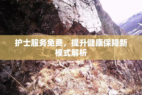 护士服务免费，提升健康保障新模式解析