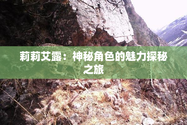 莉莉艾露：神秘角色的魅力探秘之旅