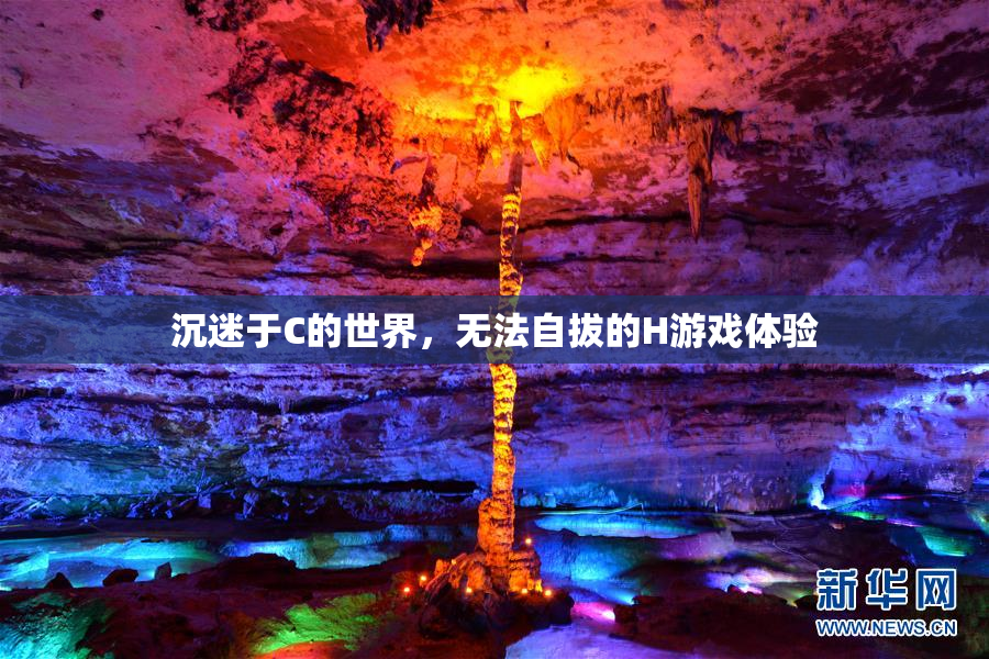 沉迷于C的世界，无法自拔的H游戏体验