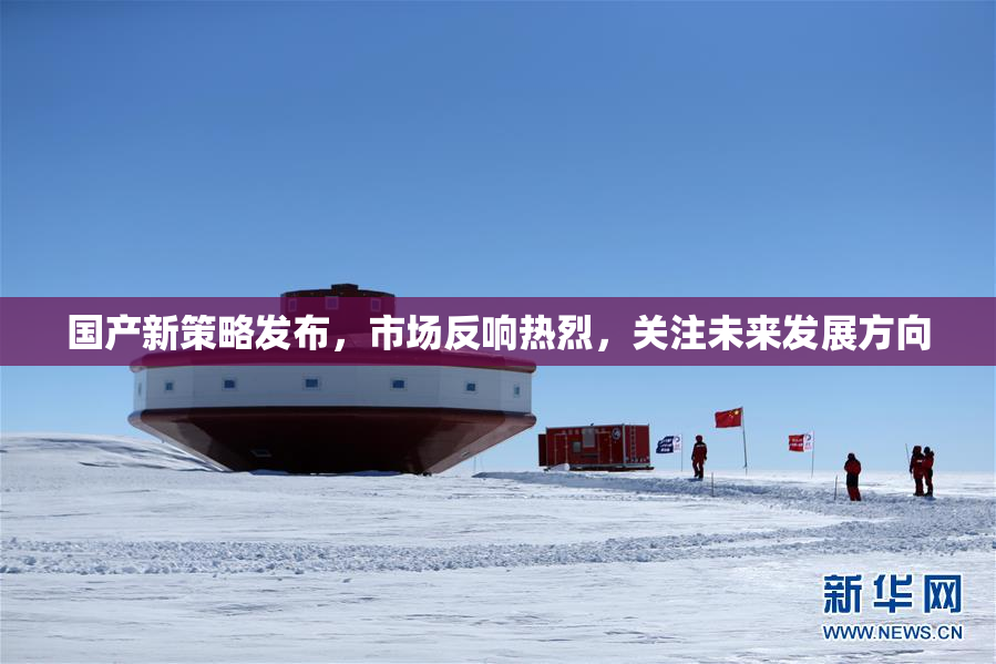国产新策略发布，市场反响热烈，关注未来发展方向