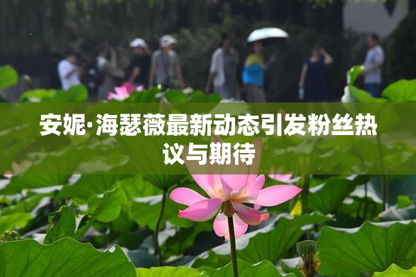 安妮·海瑟薇最新动态引发粉丝热议与期待