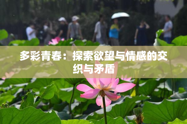 多彩青春：探索欲望与情感的交织与矛盾