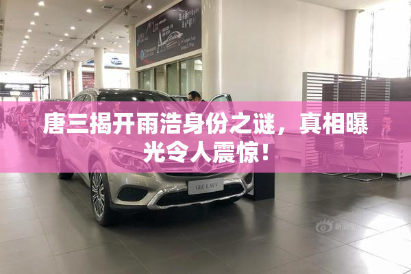 唐三揭开雨浩身份之谜，真相曝光令人震惊！