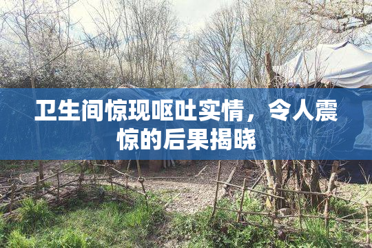 卫生间惊现呕吐实情，令人震惊的后果揭晓