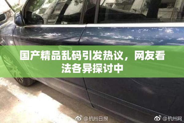 国产精品乱码引发热议，网友看法各异探讨中