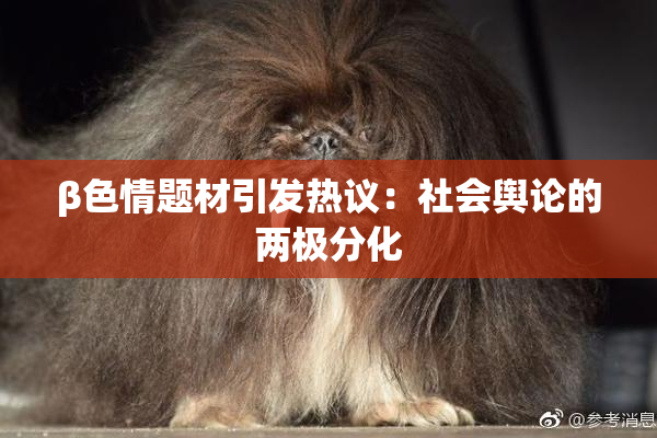 β色情题材引发热议：社会舆论的两极分化