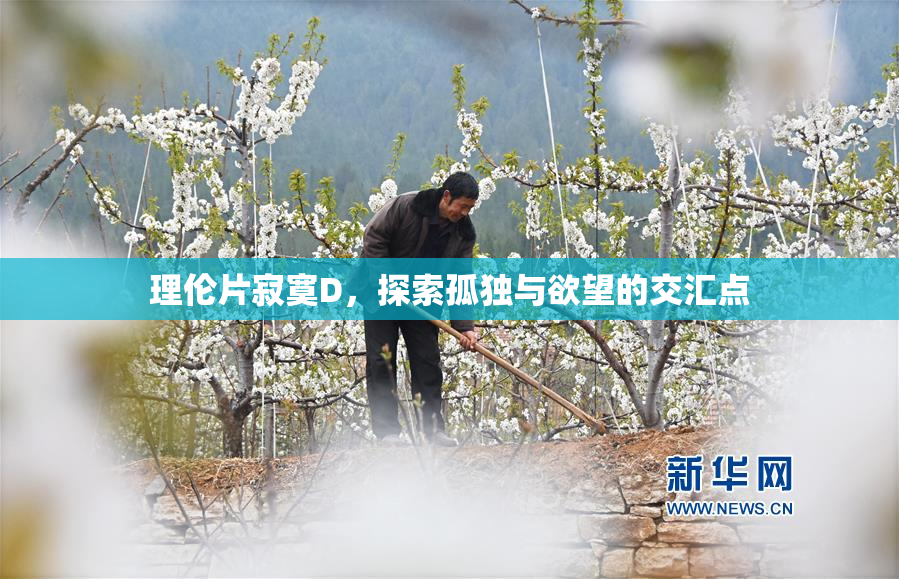 理伦片寂寞D，探索孤独与欲望的交汇点