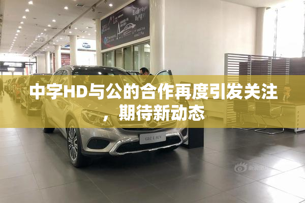 中字HD与公的合作再度引发关注，期待新动态