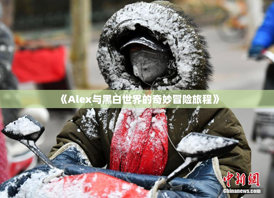 《Alex与黑白世界的奇妙冒险旅程》