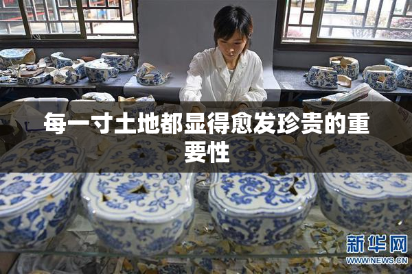 每一寸土地都显得愈发珍贵的重要性