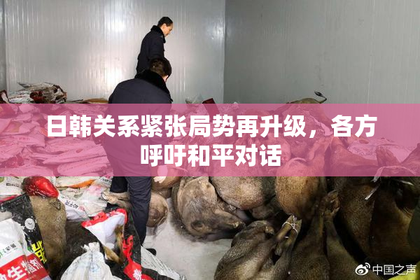 日韩关系紧张局势再升级，各方呼吁和平对话