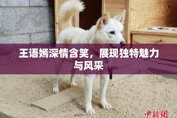 王语嫣深情含笑，展现独特魅力与风采