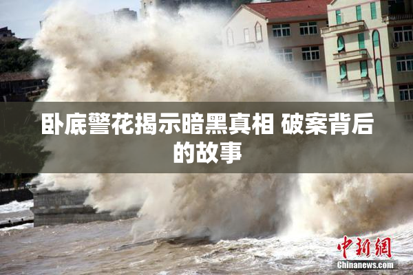 卧底警花揭示暗黑真相 破案背后的故事