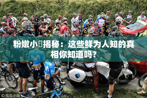 粉嫩小泬揭秘：这些鲜为人知的真相你知道吗？