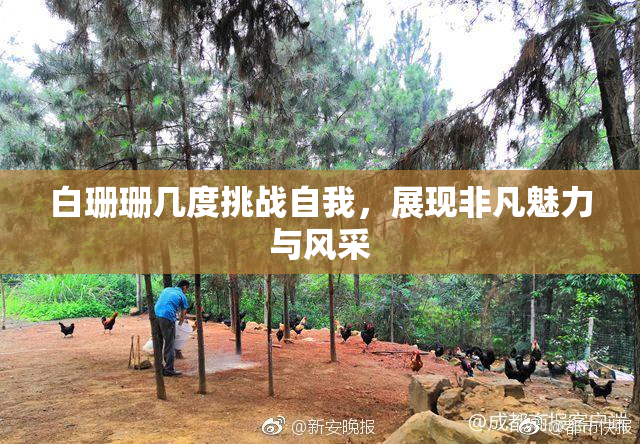 白珊珊几度挑战自我，展现非凡魅力与风采