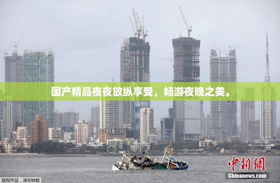 国产精品夜夜放纵享受，畅游夜晚之美。