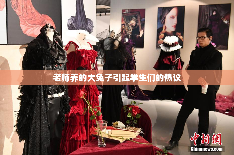 老师养的大兔子引起学生们的热议