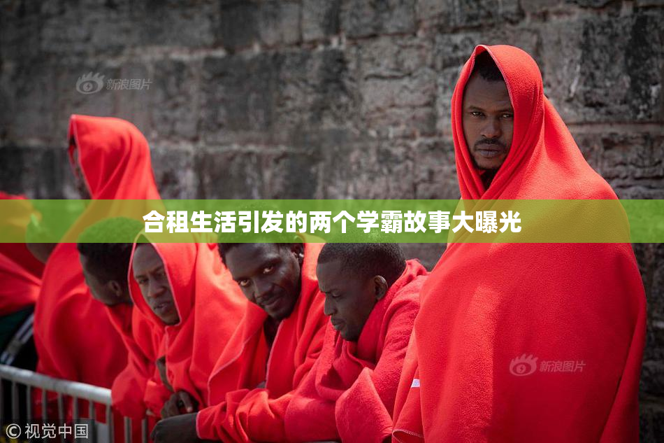 合租生活引发的两个学霸故事大曝光