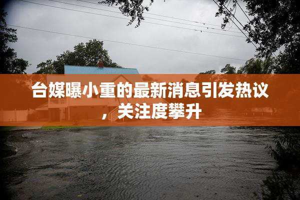 台媒曝小重的最新消息引发热议，关注度攀升