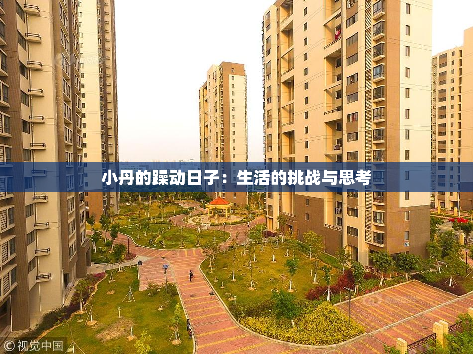 小丹的躁动日子：生活的挑战与思考