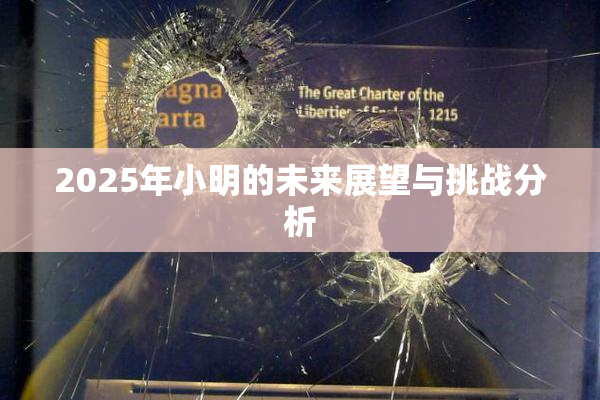 2025年小明的未来展望与挑战分析