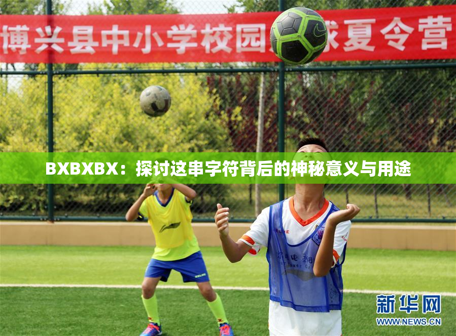 BXBXBX：探讨这串字符背后的神秘意义与用途