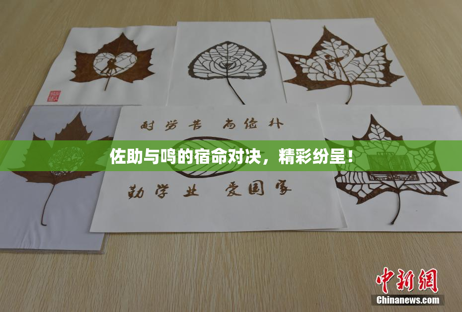 佐助与鸣的宿命对决，精彩纷呈！