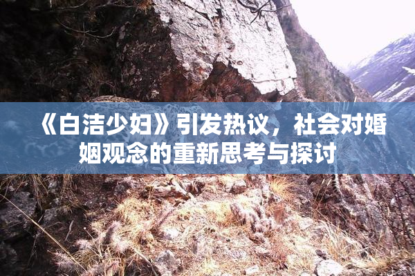 《白洁少妇》引发热议，社会对婚姻观念的重新思考与探讨
