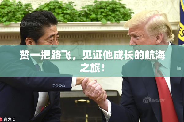 赞一把路飞，见证他成长的航海之旅！
