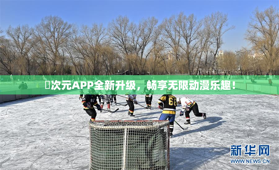 囧次元APP全新升级，畅享无限动漫乐趣！