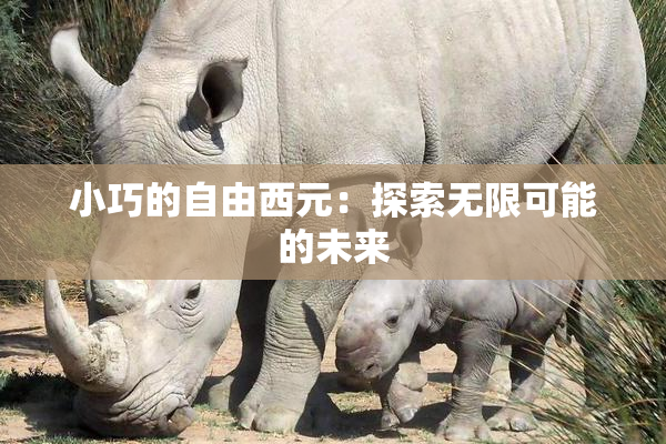 小巧的自由西元：探索无限可能的未来