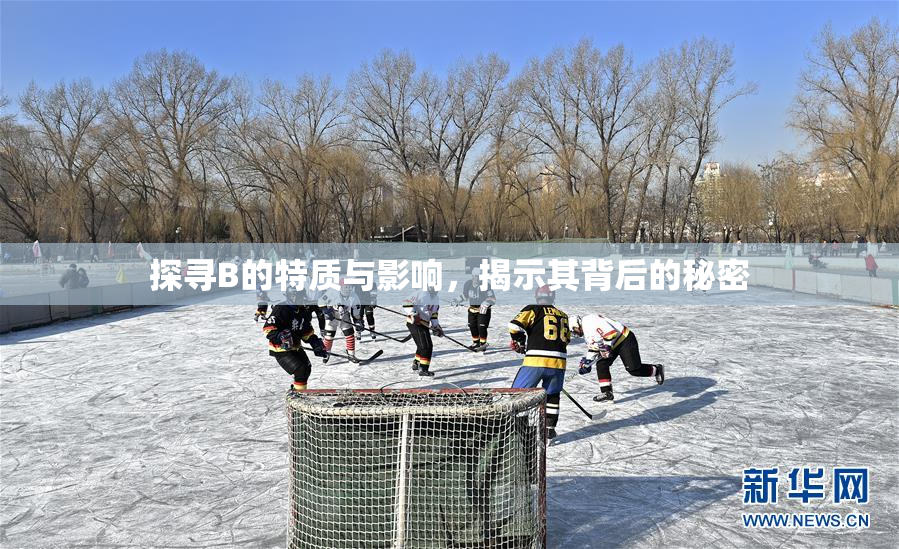 探寻B的特质与影响，揭示其背后的秘密