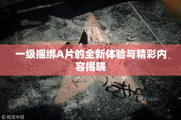 一级捆绑A片的全新体验与精彩内容揭晓