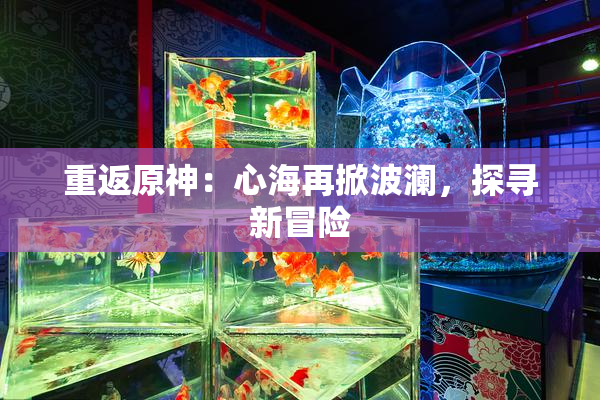 重返原神：心海再掀波澜，探寻新冒险