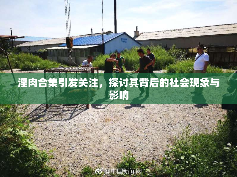 淫肉合集引发关注，探讨其背后的社会现象与影响
