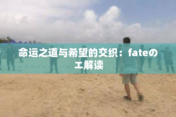 命运之道与希望的交织：fateのエ解读