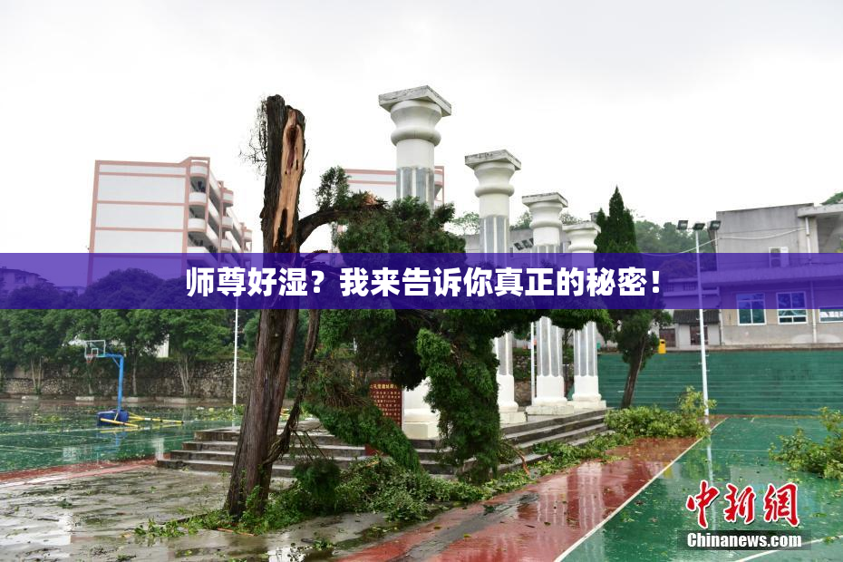 师尊好湿？我来告诉你真正的秘密！