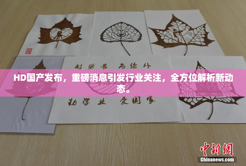 HD国产发布，重磅消息引发行业关注，全方位解析新动态。