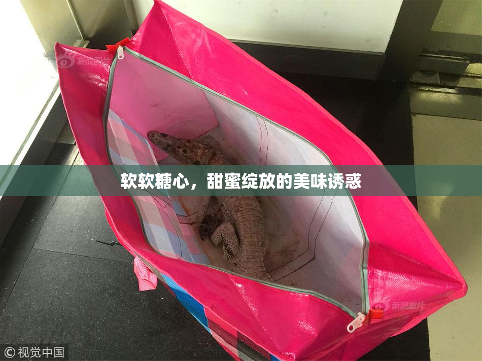 软软糖心，甜蜜绽放的美味诱惑