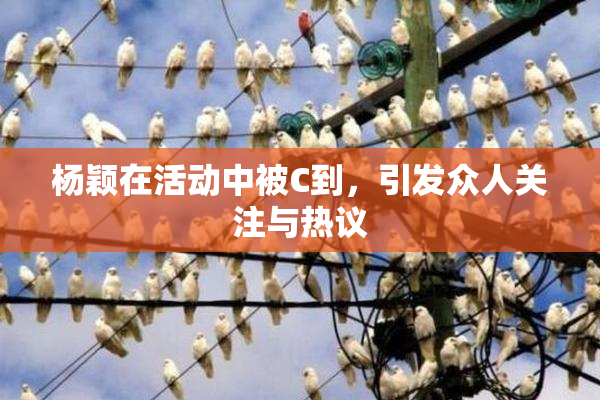 杨颖在活动中被C到，引发众人关注与热议