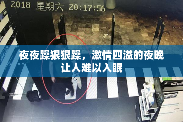夜夜躁狠狠躁，激情四溢的夜晚让人难以入眠
