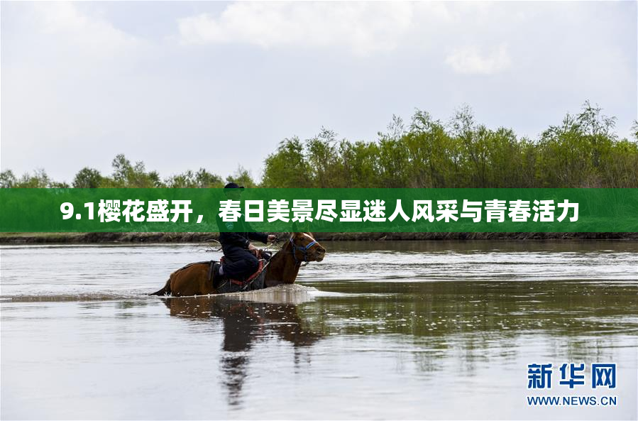 9.1樱花盛开，春日美景尽显迷人风采与青春活力