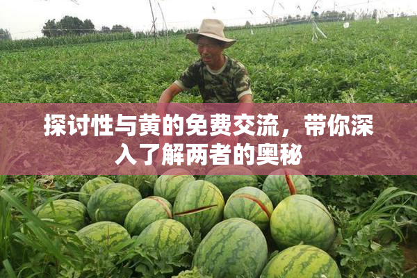 探讨性与黄的免费交流，带你深入了解两者的奥秘