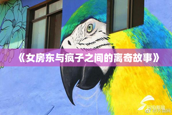 《女房东与疯子之间的离奇故事》