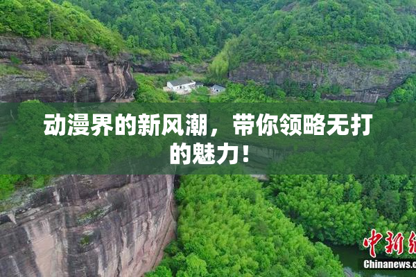 动漫界的新风潮，带你领略无打的魅力！