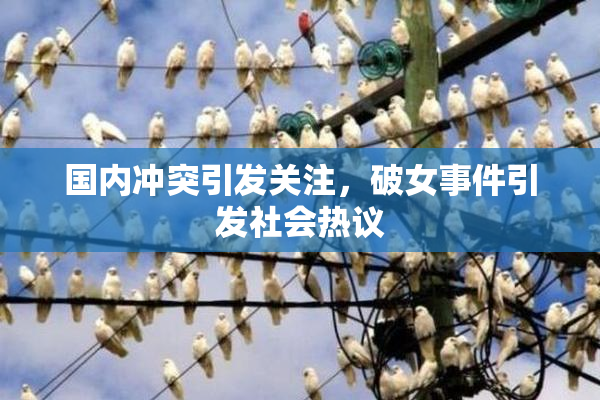 国内冲突引发关注，破女事件引发社会热议