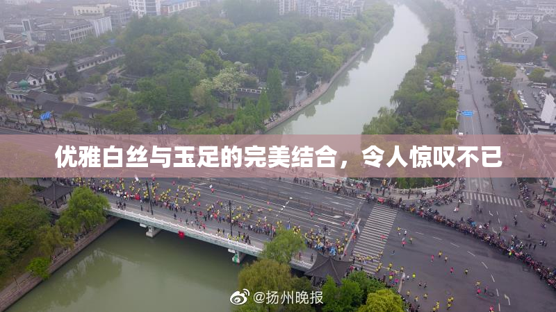 优雅白丝与玉足的完美结合，令人惊叹不已